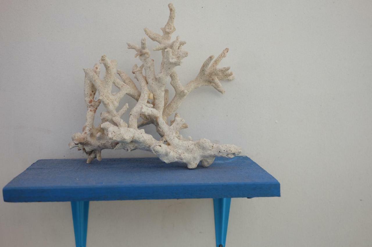Blue Coral Homestay Ilhas Karimunjava Exterior foto