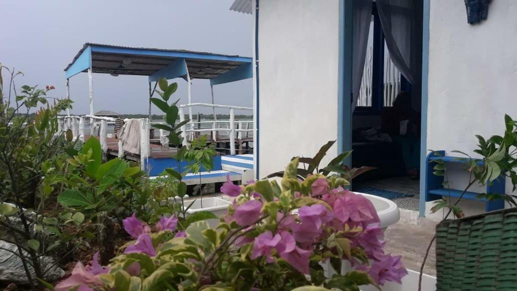 Blue Coral Homestay Ilhas Karimunjava Exterior foto